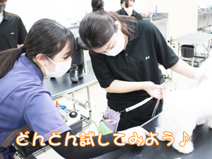 １年生、カットもがんばっています！